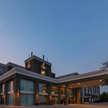 Comfort Inn & Conference Centre Toronto Airport-3